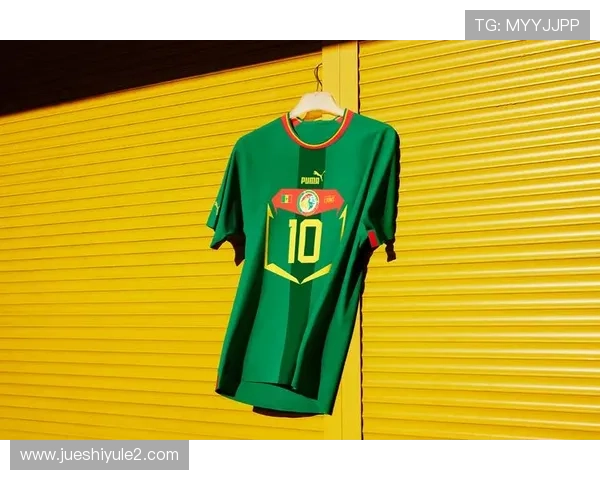 世界杯球衣滑雪（世界杯球衣标志）sports